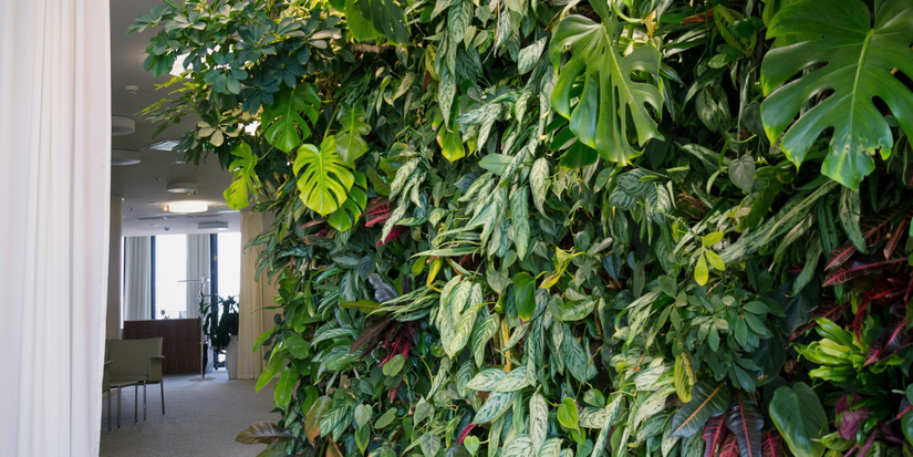 Maximizing Space: The Art of Vertical Gardening