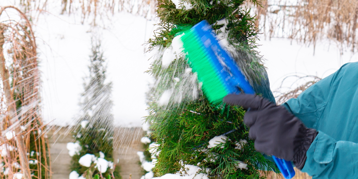 Winter Yard Tips: Expert Advice on Snow Removal and Tree Care