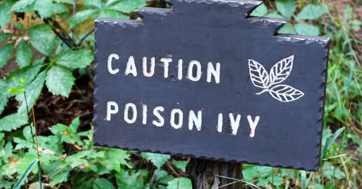 Caution Poison Ivy Sign - 18x24 Inches, Reflective Aluminum, Fade Resistant, Made In USA