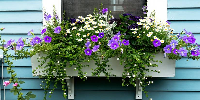 Window Planer How to Build a Window Garden
