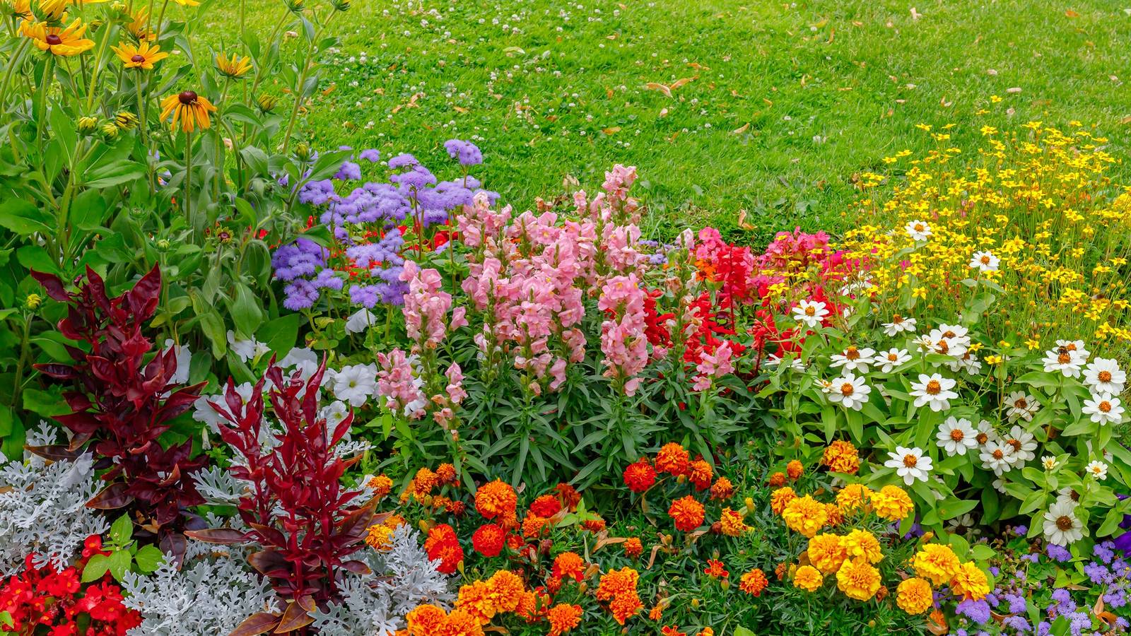 Best Plant for Honey Production in Florida: Top Sweet Nectar Sources 4 Best Plant for Honey Production in Florida: Top Sweet Nectar Sources