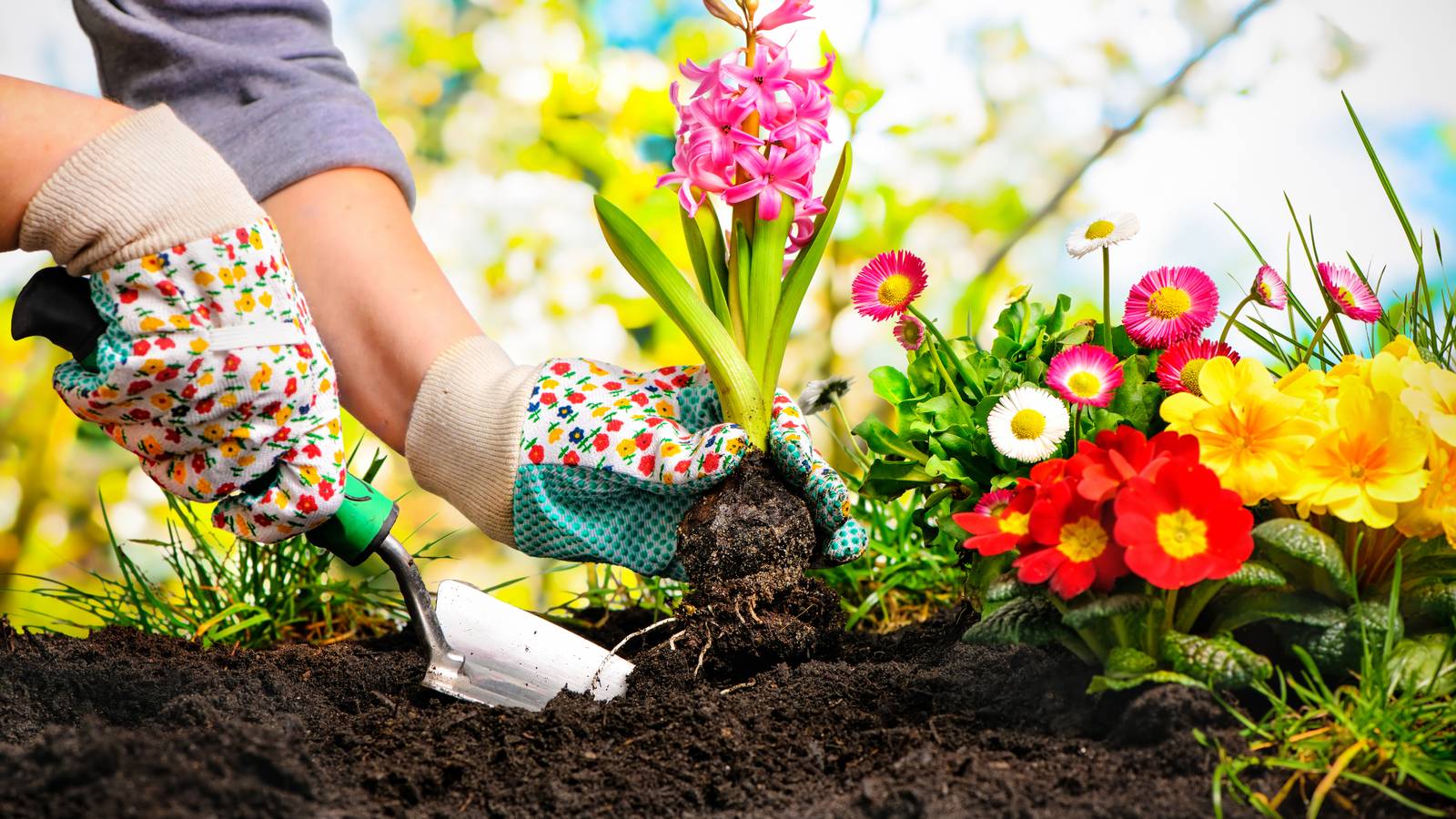 Garden Almanac: A Monthly Blueprint for Seasonal Planting