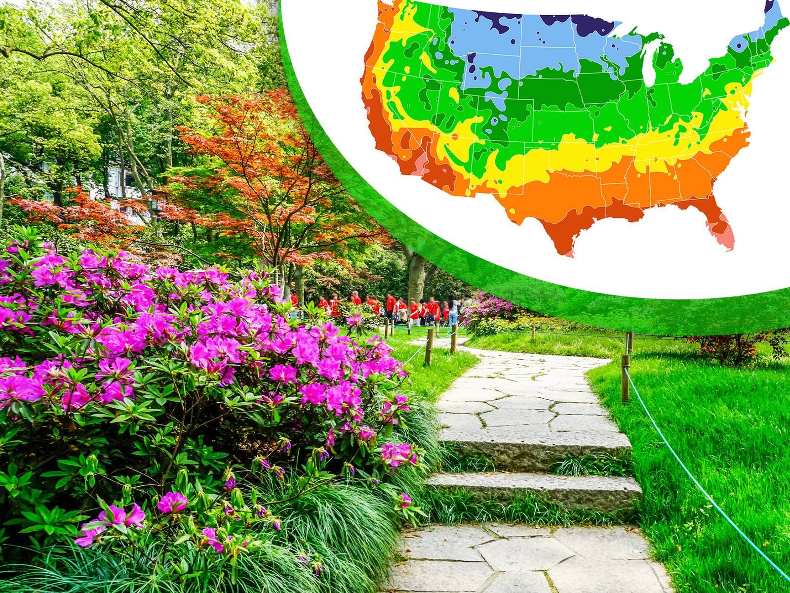 Adapting to The 2023 USDA Hardiness Zone Updates
