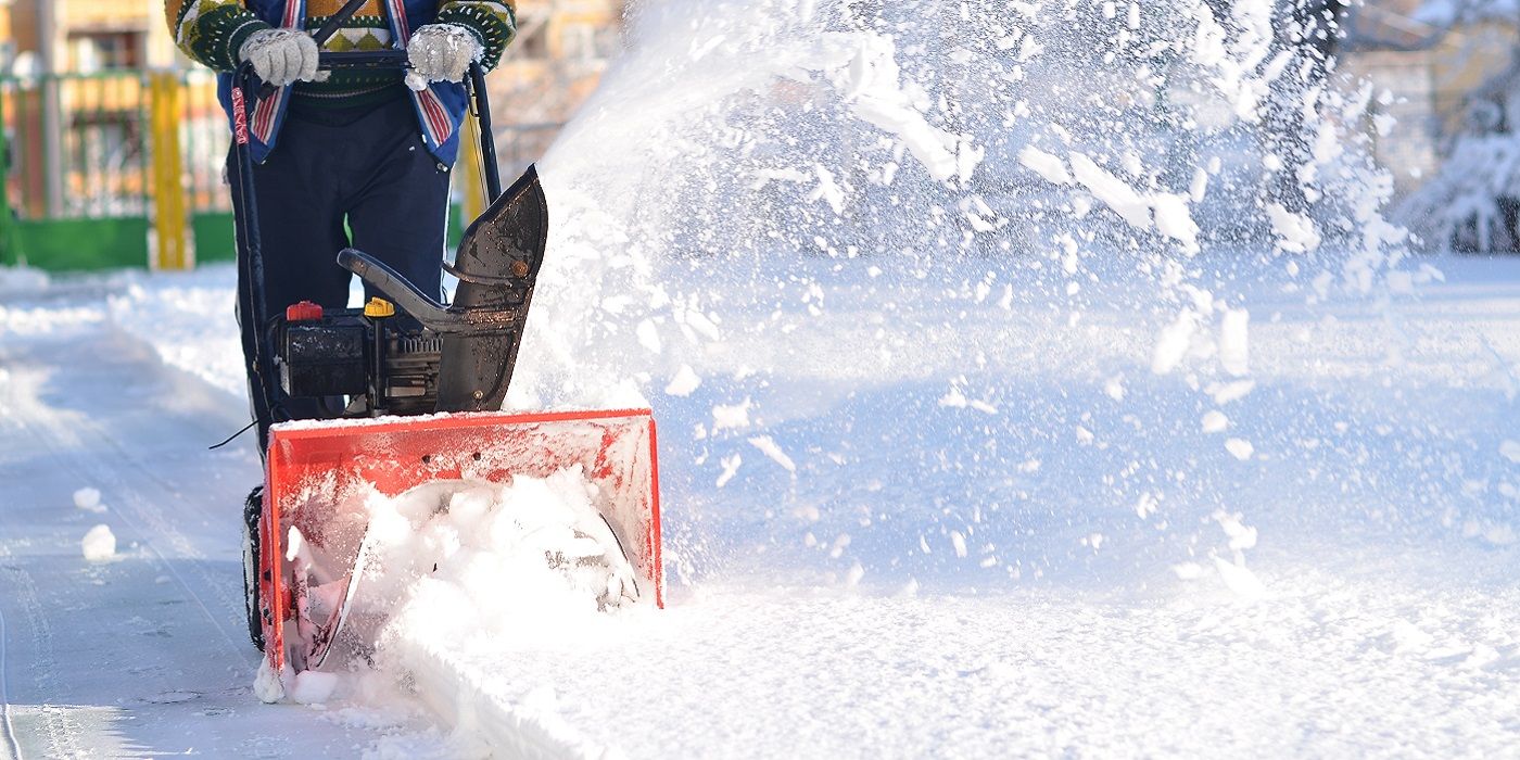 Winter Yard Tips: Expert Advice on Snow Removal and Tree Care