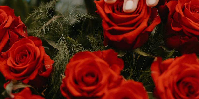 Immortalities Roses Eternity Roses: The Ultra-Luxe Eternity Flowers for A-Listers