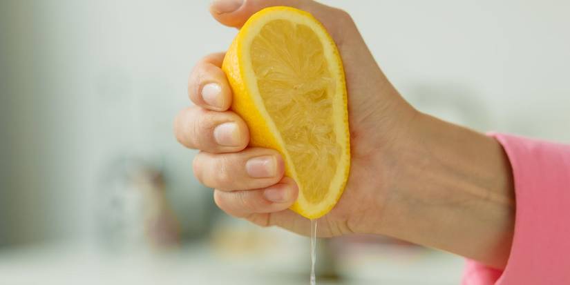 The Hidden Origin of Lemons: From Ancient Hybrids to Modern Gardens