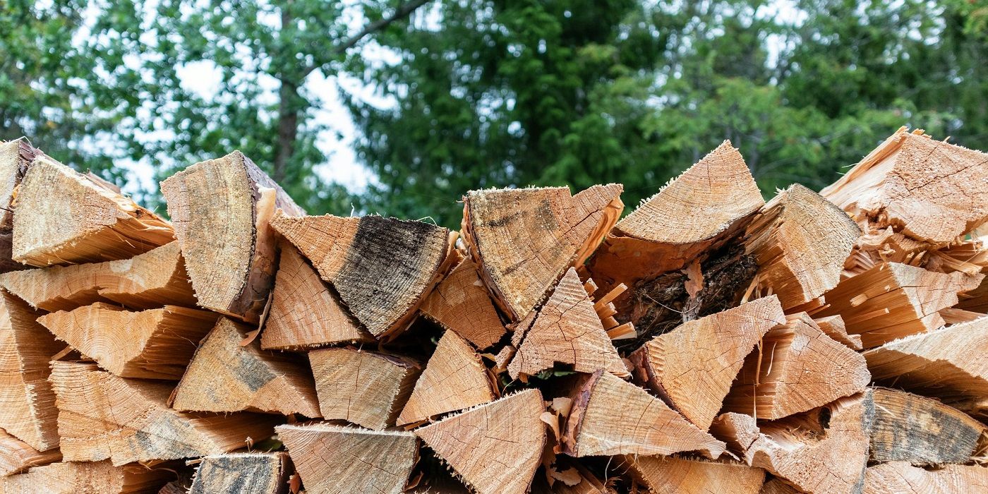 Managing Fallen Tree Branches in Your Yard