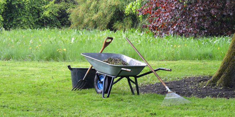 5 Key Essentials for a Thriving Spring Garden