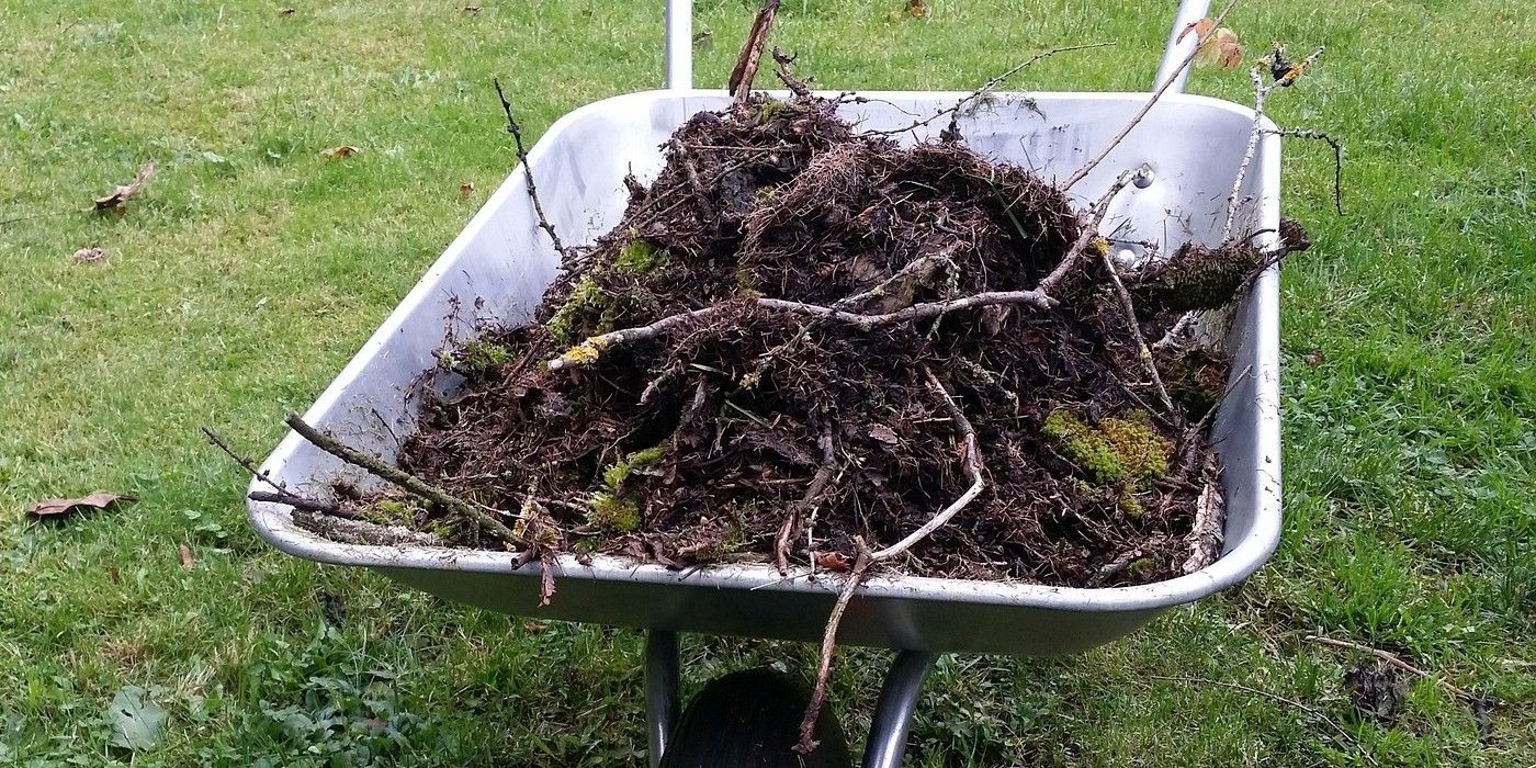 Essential Tips for Cleaning Vegetable Garden Beds