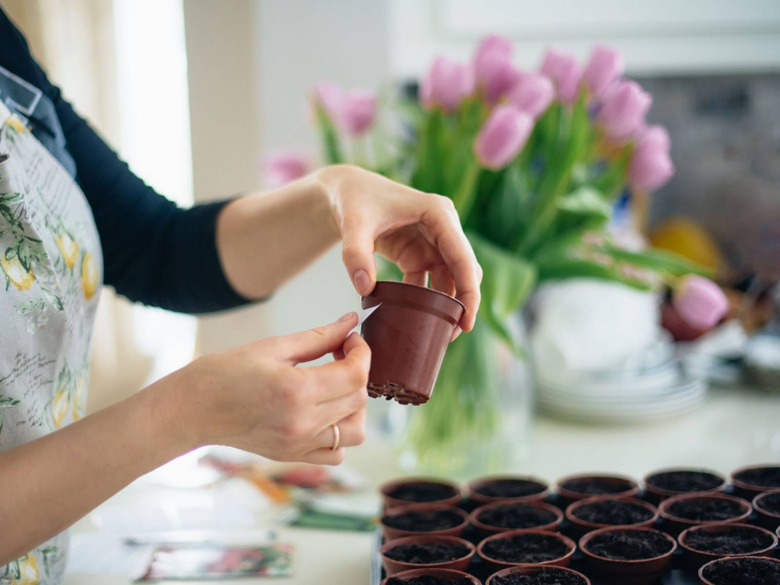 Start Growing These Flowers Right Now