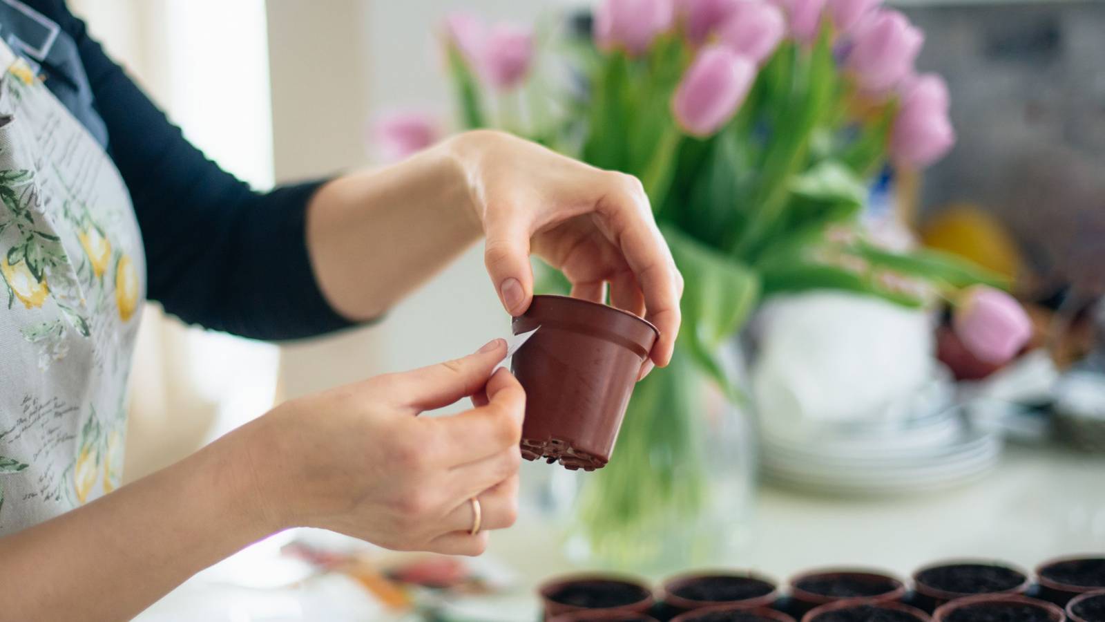 Start Growing These Flowers Right Now