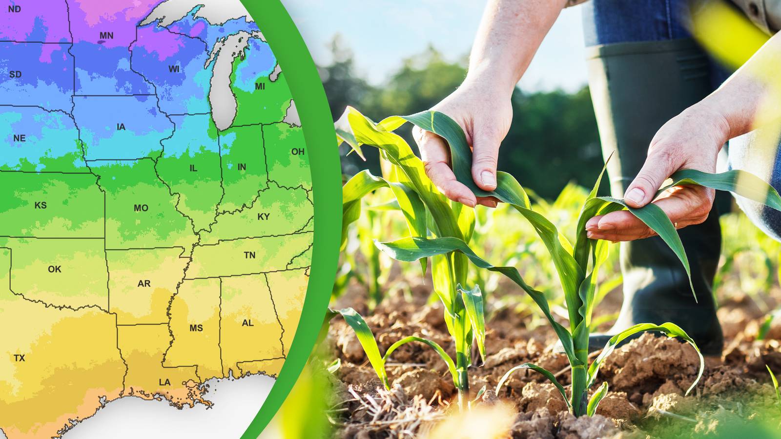 Ready to remake your Garden? | Chicago Botanic Garden, image size:1600x900