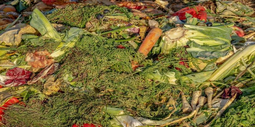 Everything You Need to Know About Spring Composting