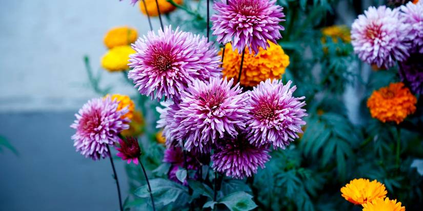 9 March Floral Design Trends You Don't Want to Miss