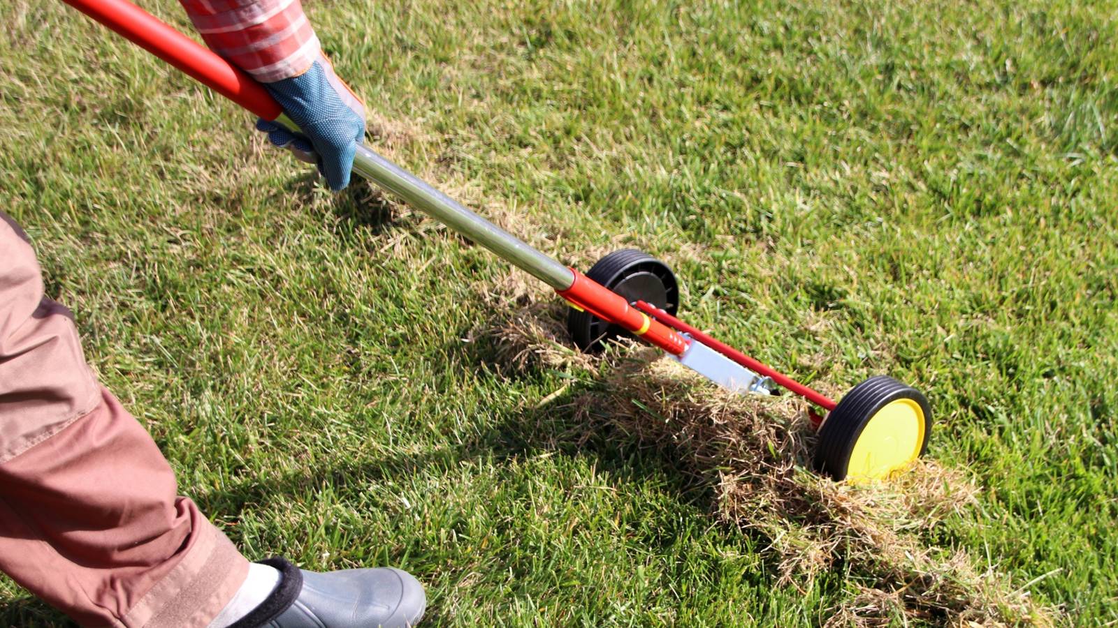 When to Dethatch Lawns in Early Spring