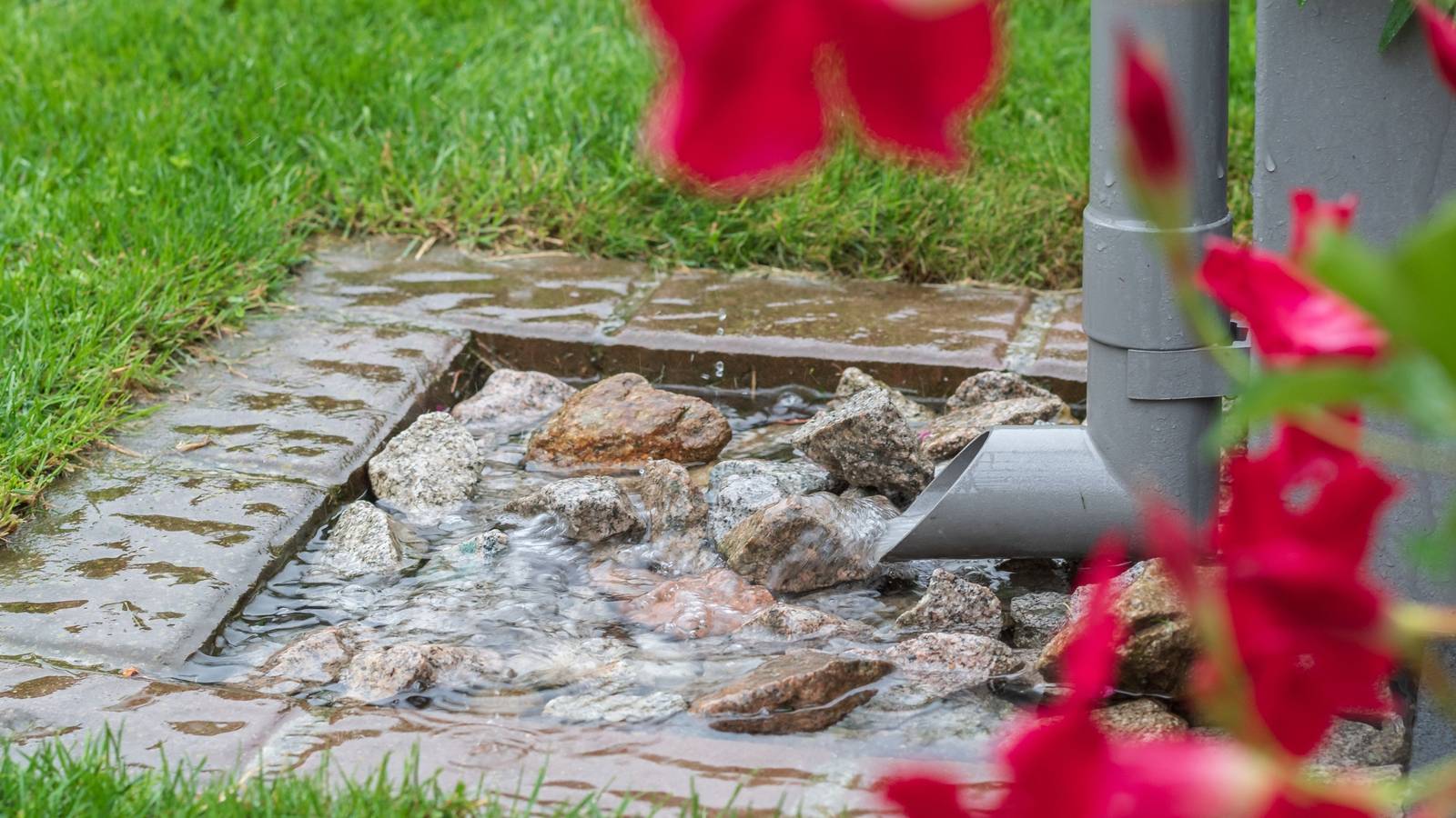 Winter-Proof Your Home: The Essential Guide to Pop Up Gutter Drains