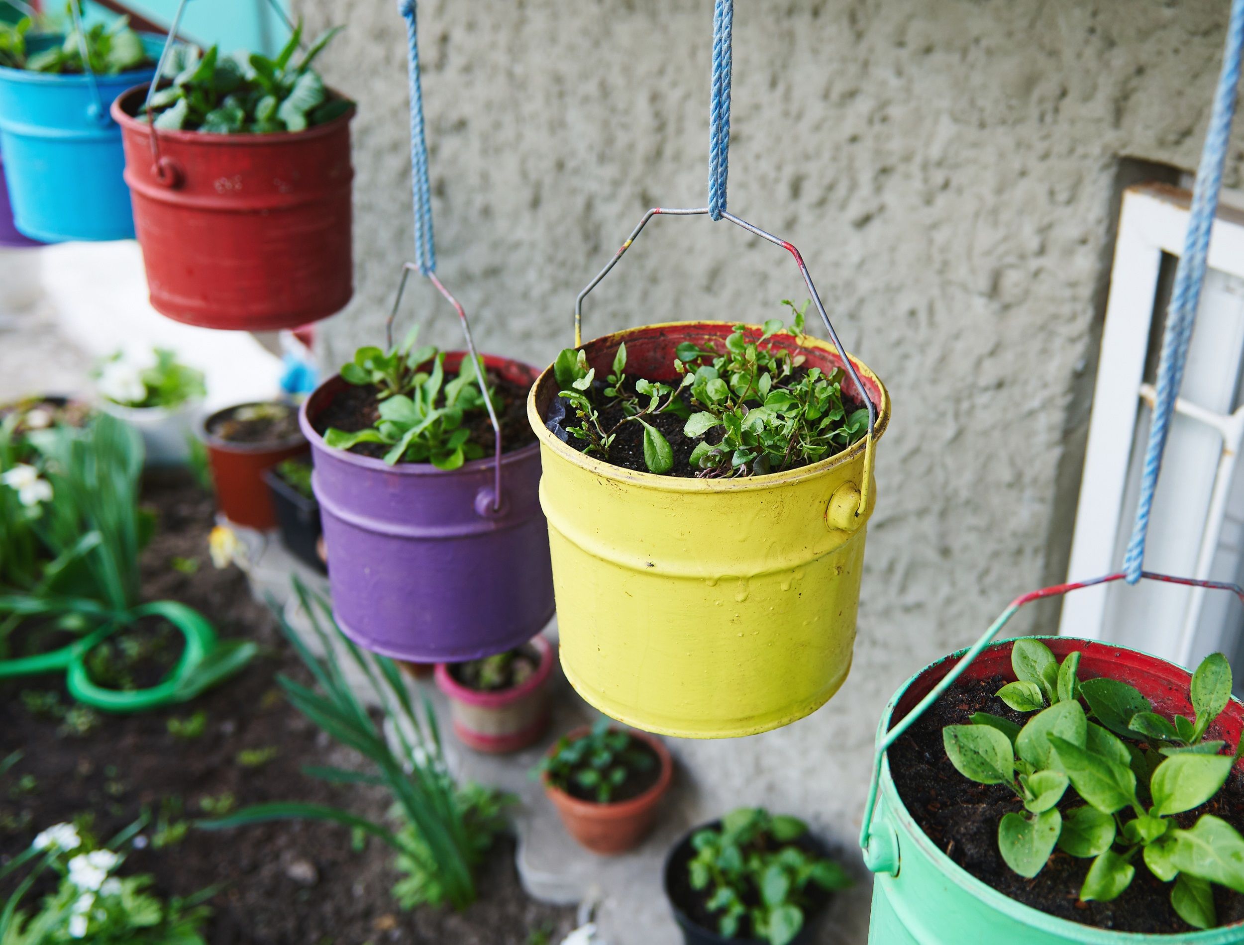 Hanging Pot Ideas to Elevate Your Outdoor Space