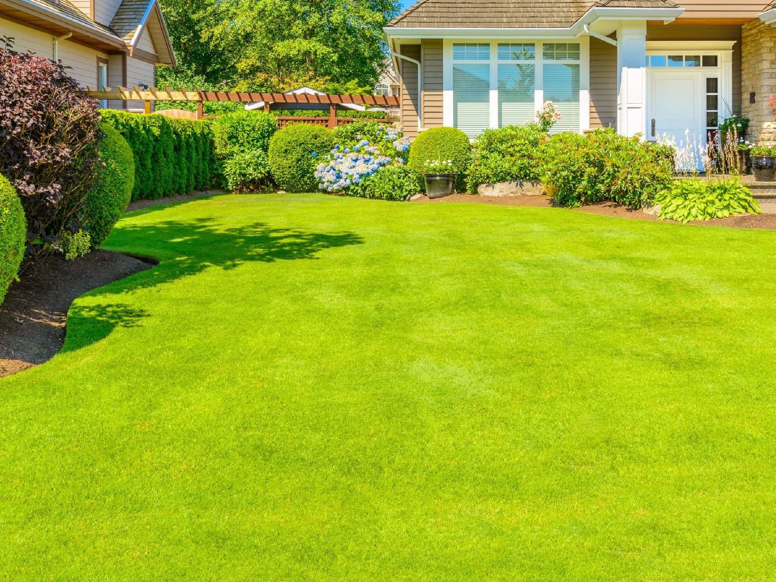 The Green Investment: Understanding the Value of Your Lawn, image size:1600x1200
