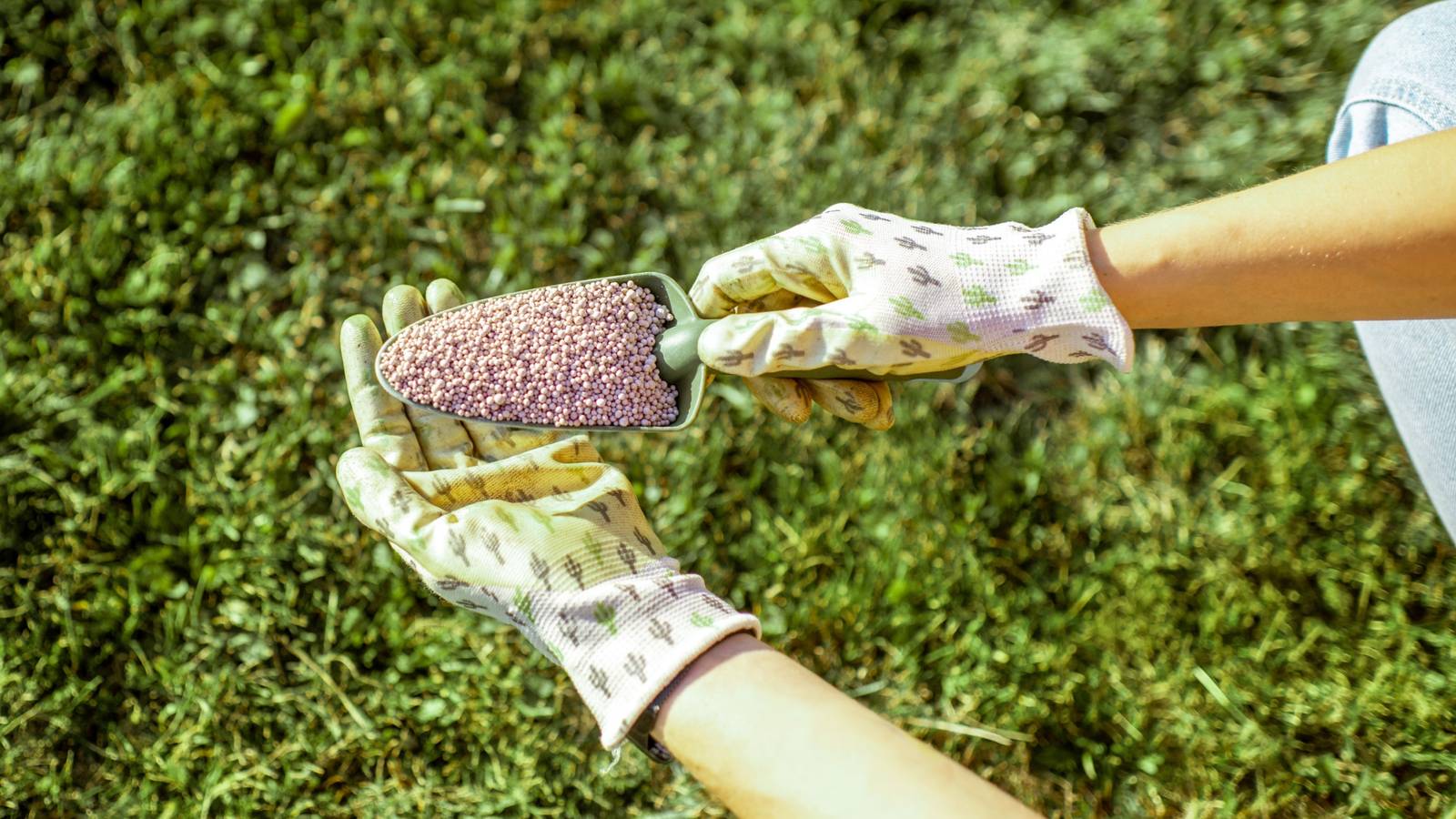 What Are the Vital Minerals Your Grass Requires?