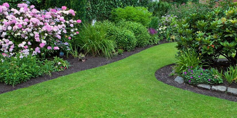 Identifying the Grass Types in Your Yard