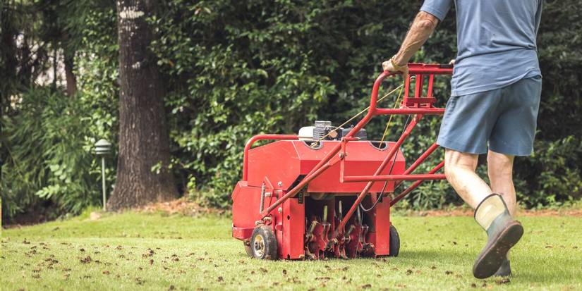 Does Liquid Lawn Aeration Really Work?