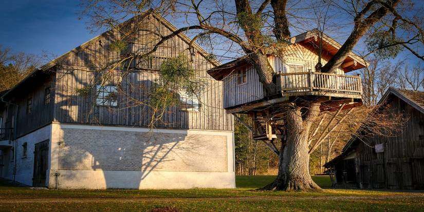 Balancing Treehouses with Tree Health