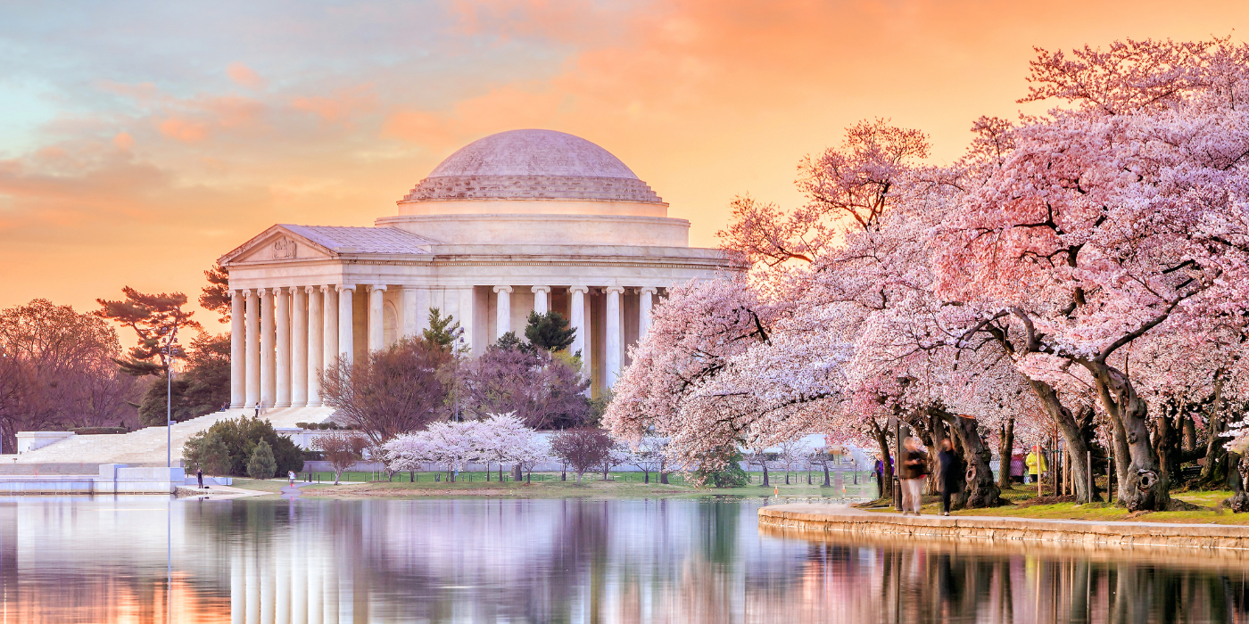 Best Flowering Trees That Bloom in April