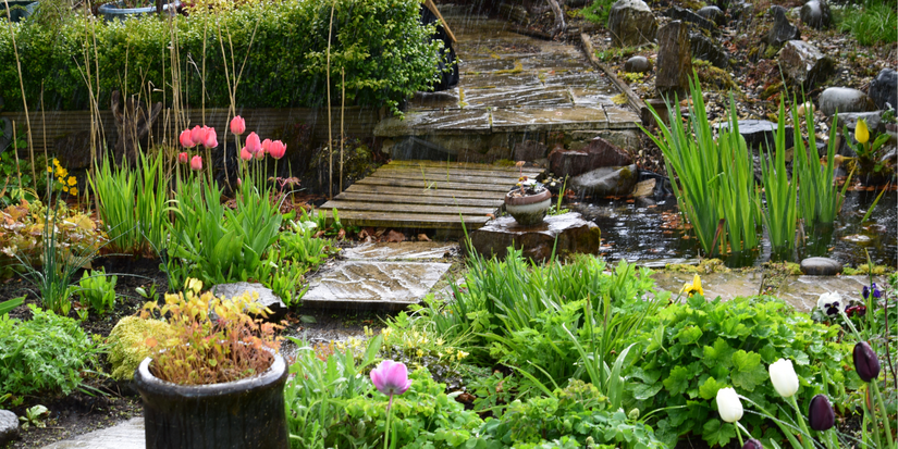 Transform Your Outdoor Space with These 5 Nature-Inspired Backyard Designs