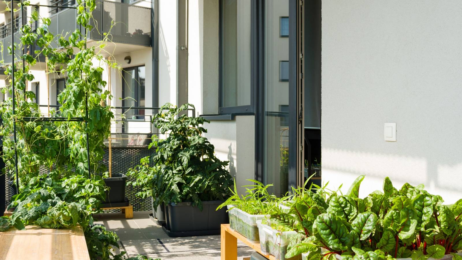 A Renters' Guide to Temporary Landscaping