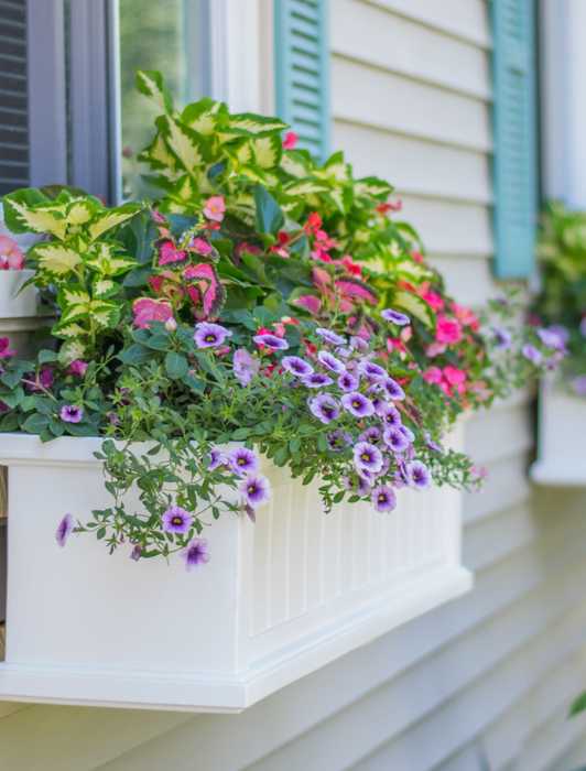 How to Measure for Replacement Windows