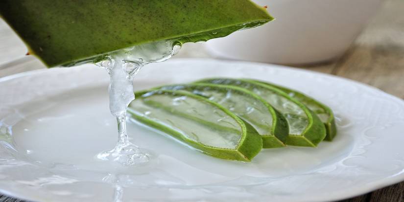 aloe vera grün Purgrün Aloe-Vera-Dünger 1 Liter main image 1