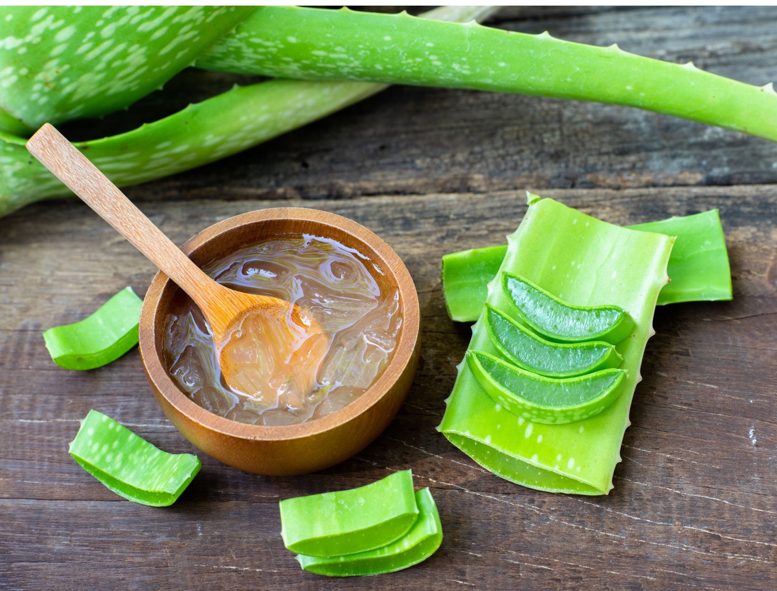 aloe vera gel gesund FAUN Aloe Vera Gel