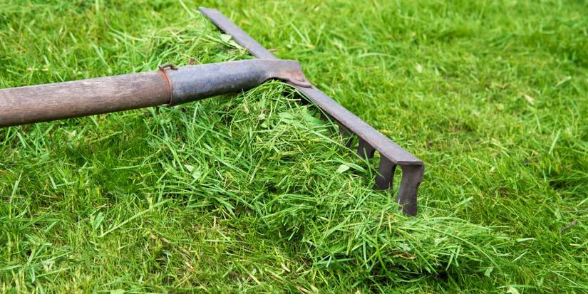 Gather Rake Eco-Friendly Garden Ideas: 7 Natural Pest Control Solutions