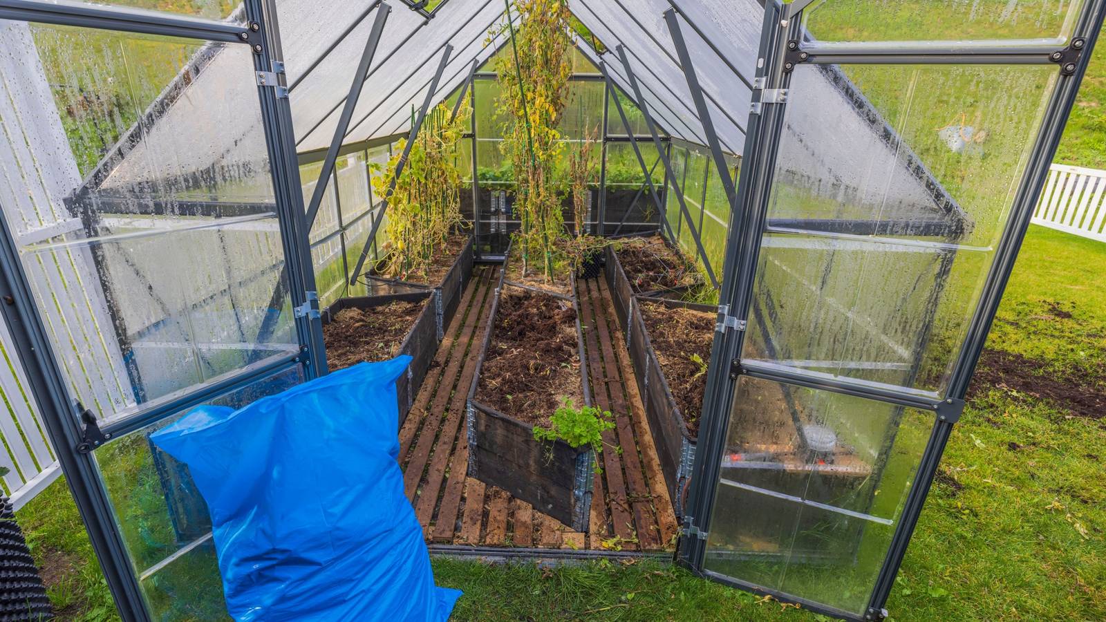 cleaning-the-backyard-greenhouse.jpg?&fi
