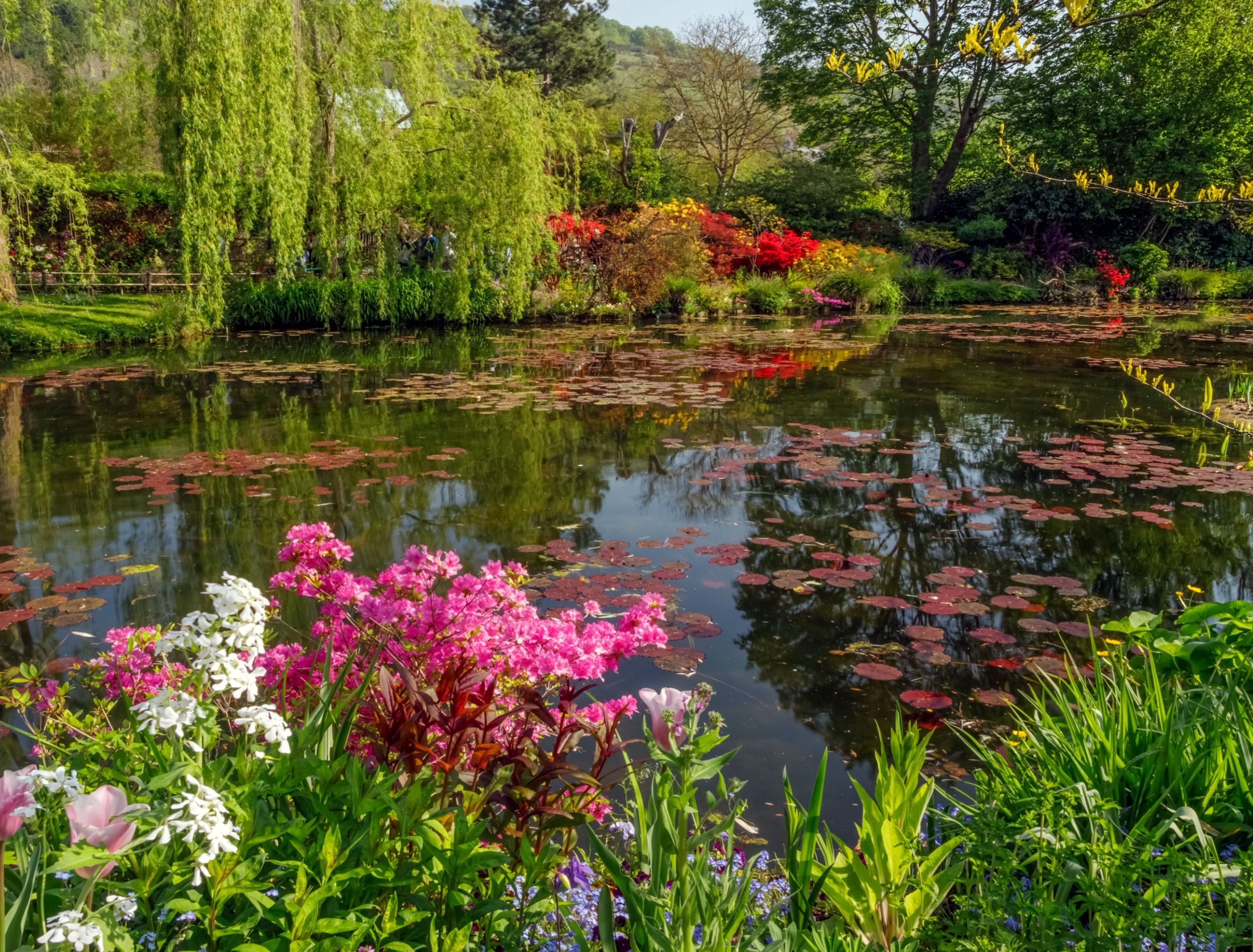 A Gardener's Guide to Botanical Gardens Across Continents, image size:2500x1900