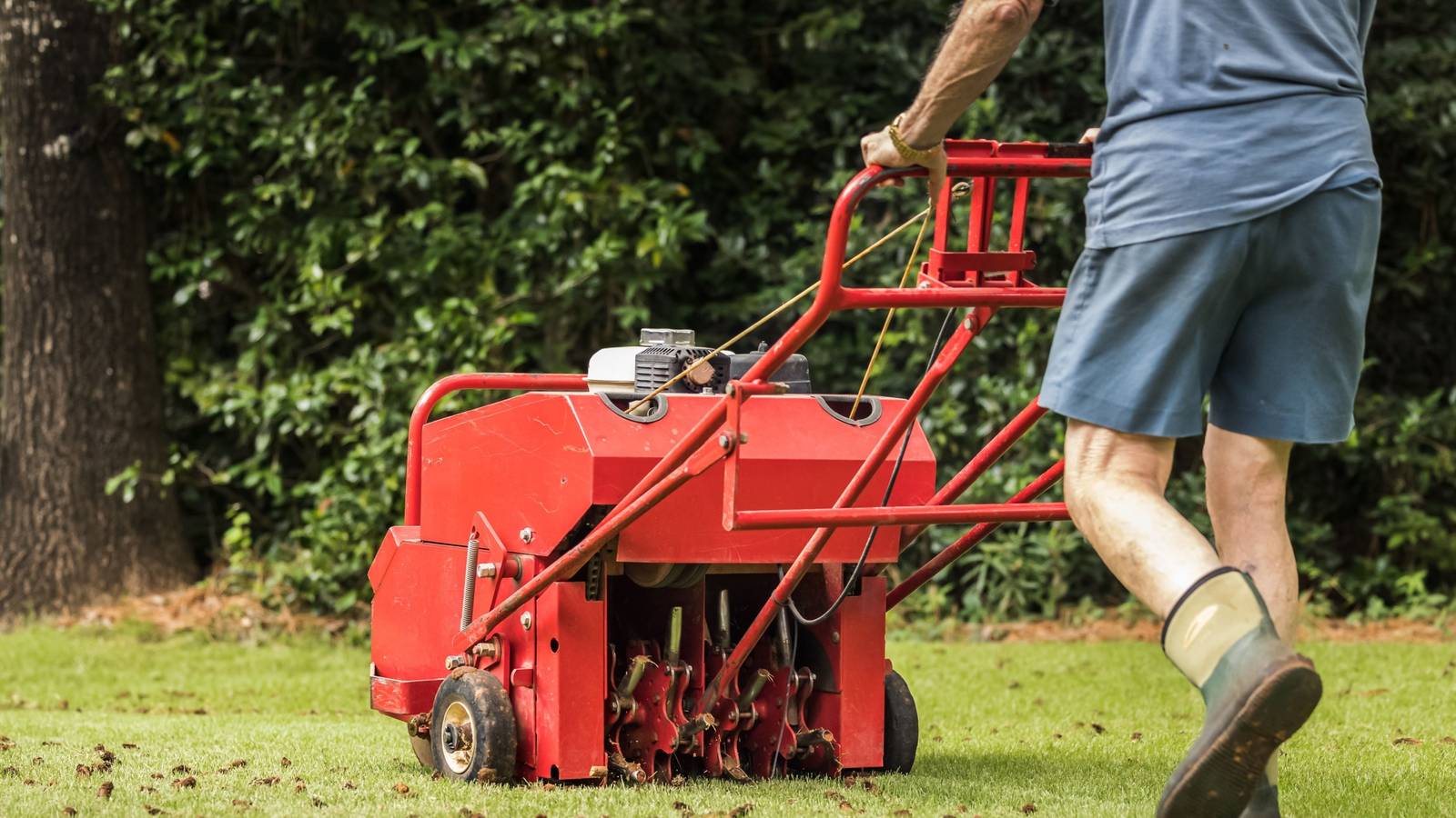 Should You Aerate Your Lawn in Early Spring?