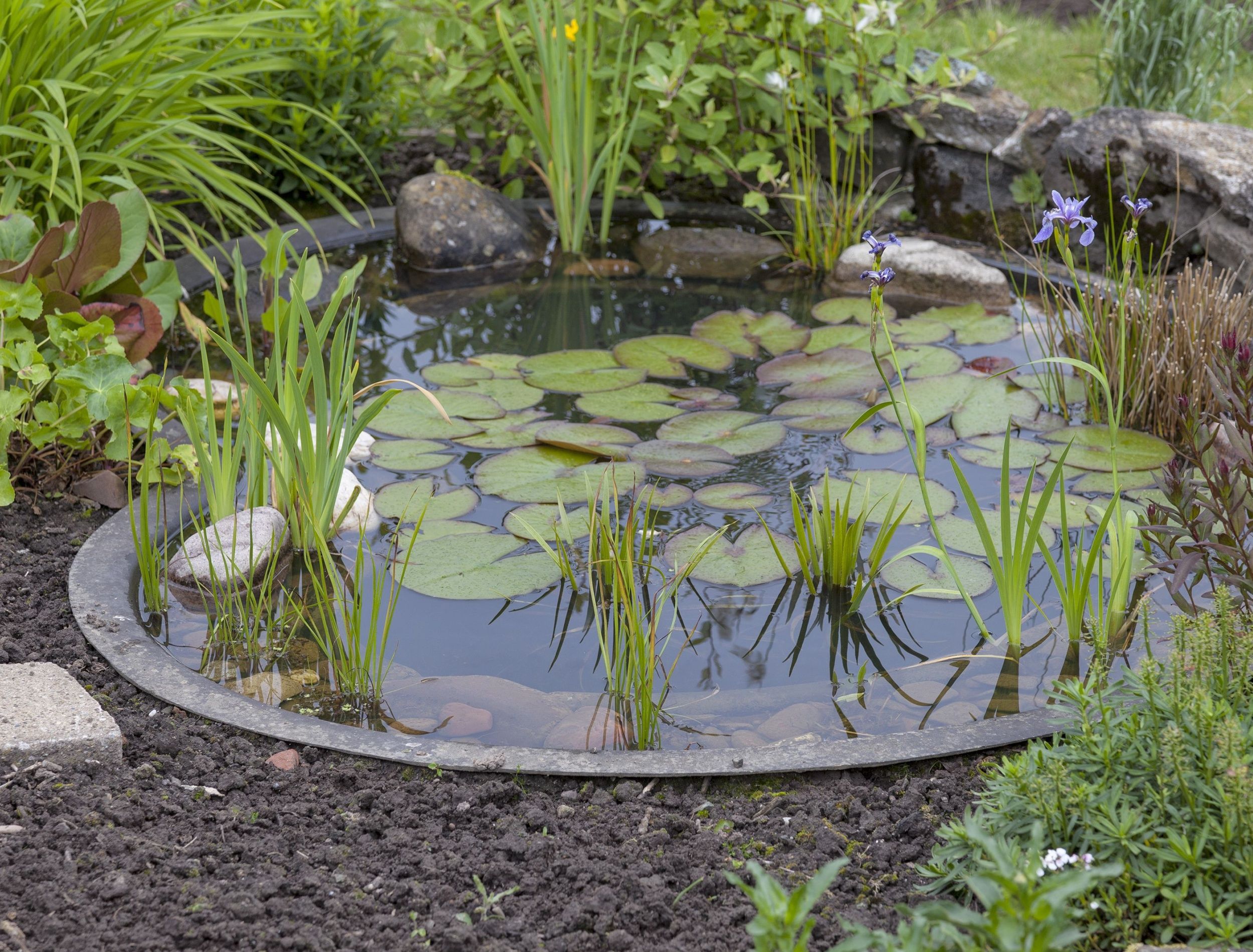 Budget-Friendly Water Features to Elevate Your Garden, image size:2500x1900