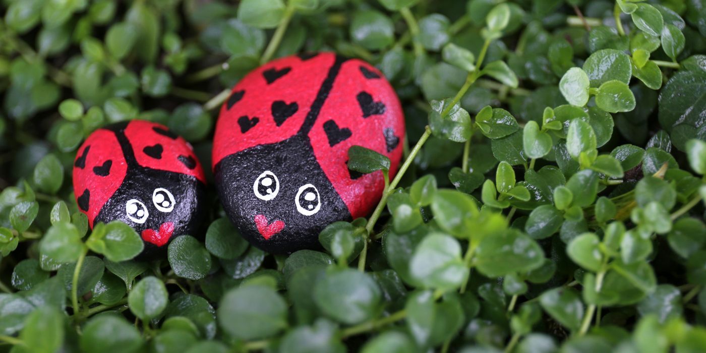 Bug Garden Rocks Painted