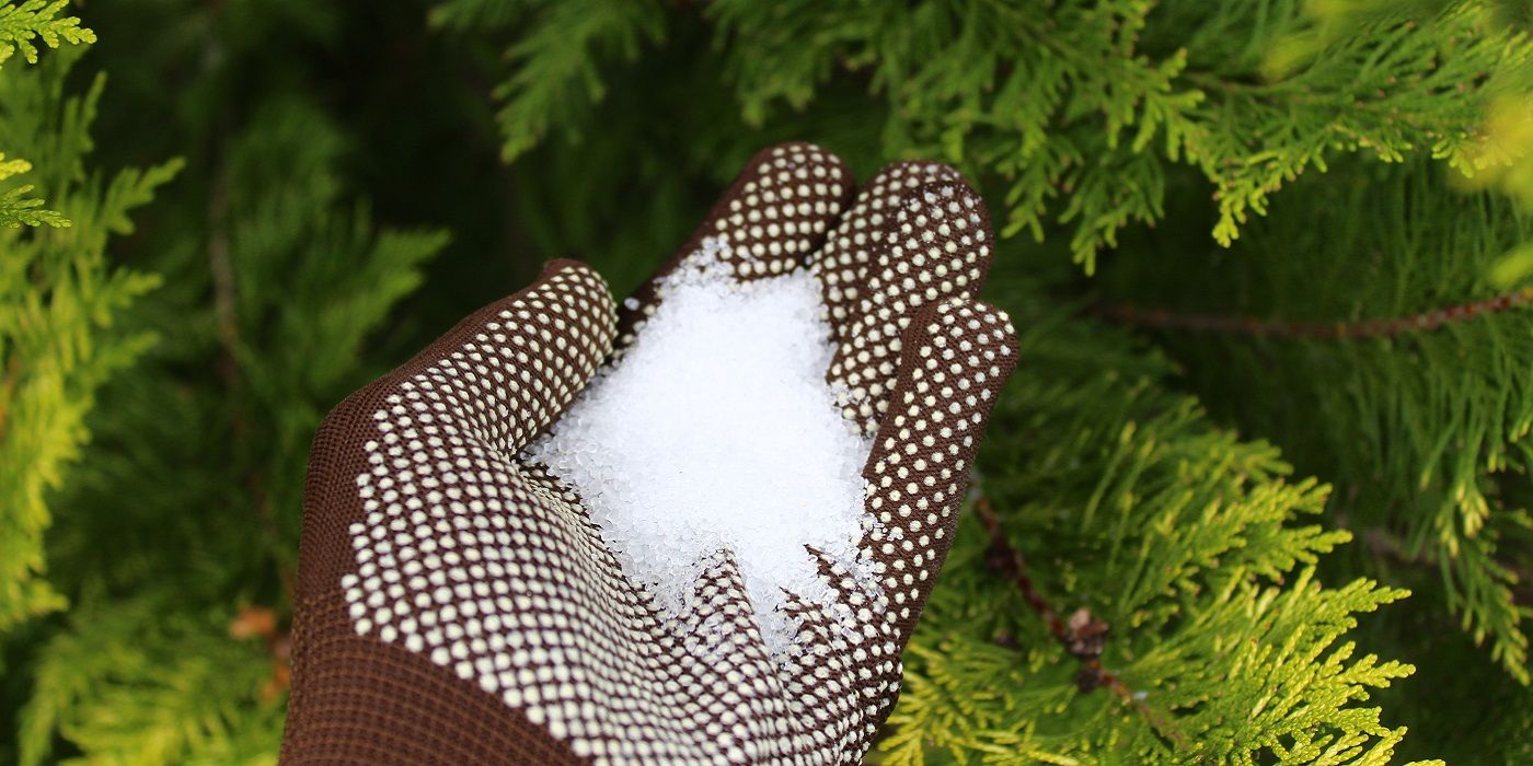 How to Kill Weeds With Vinegar and Epsom Salt