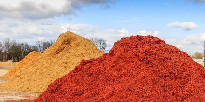Use Mulch to Brighten Landscaping Without Flowers