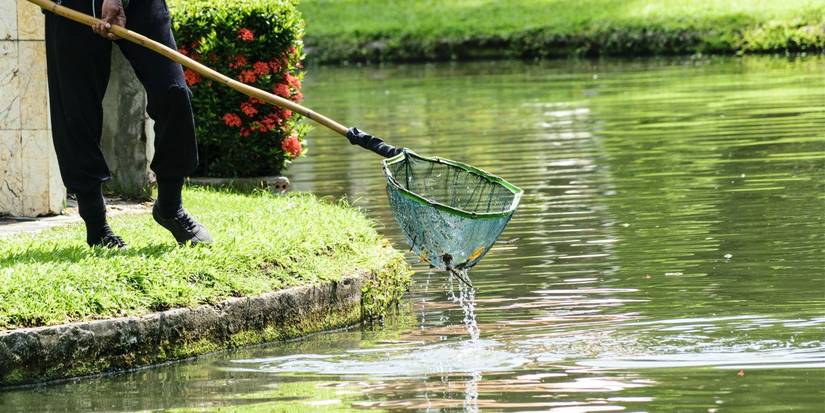 How to Refresh Your Backyard Garden Pond