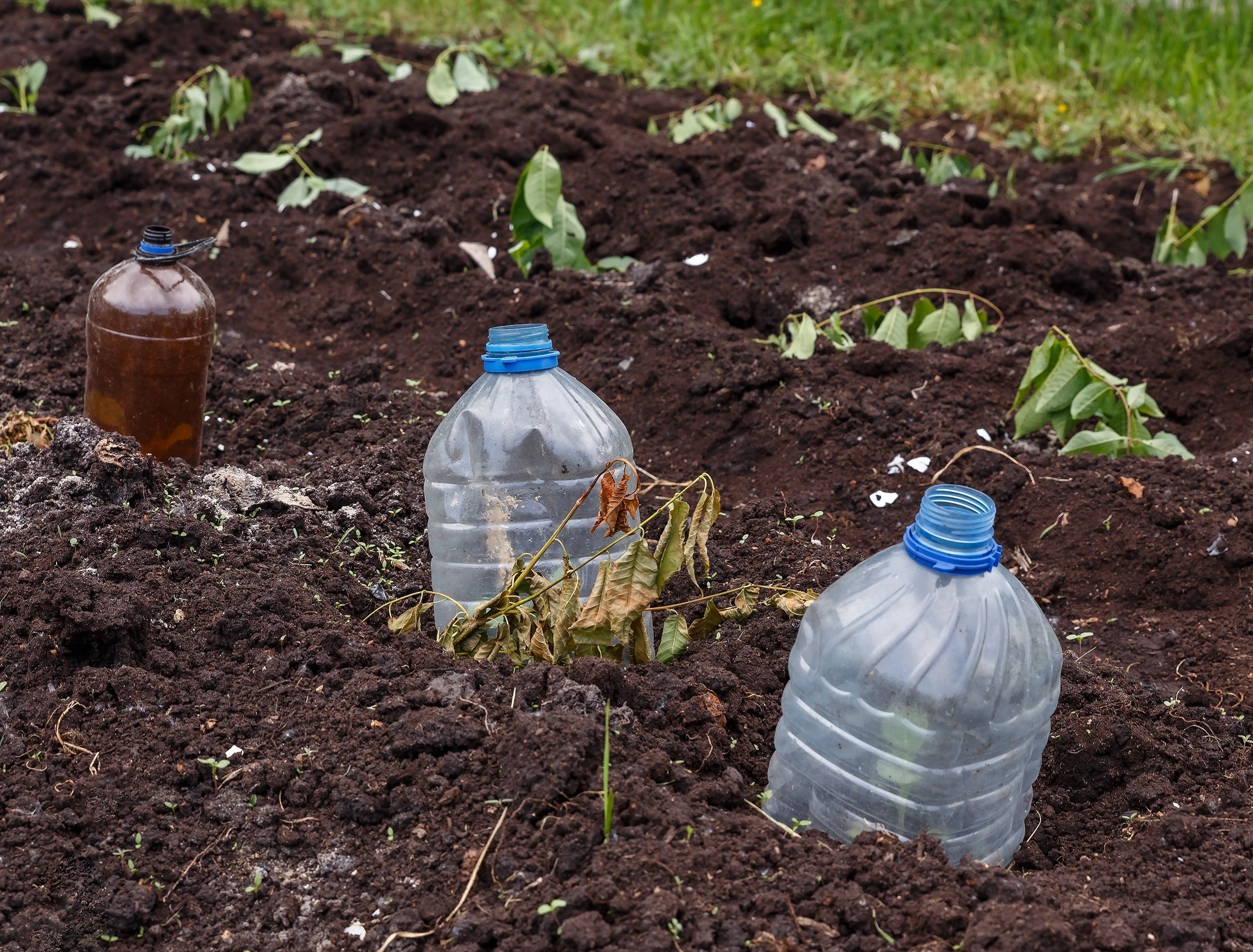How Plastics Get Into Garden Soil