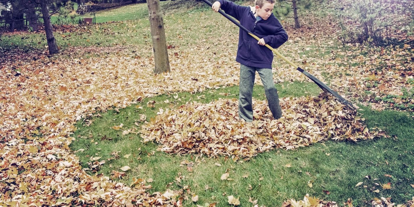 Spring Lawn Care Mistakes to Avoid When Raking