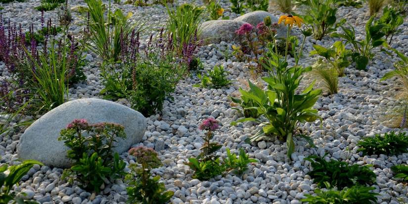 White Landscaping Rocks: Easy Care Tips to Keep Them Spotless