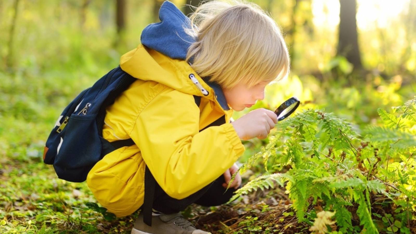 Six Fun, Budget-Friendly, and Educational Nature Activities for Kids