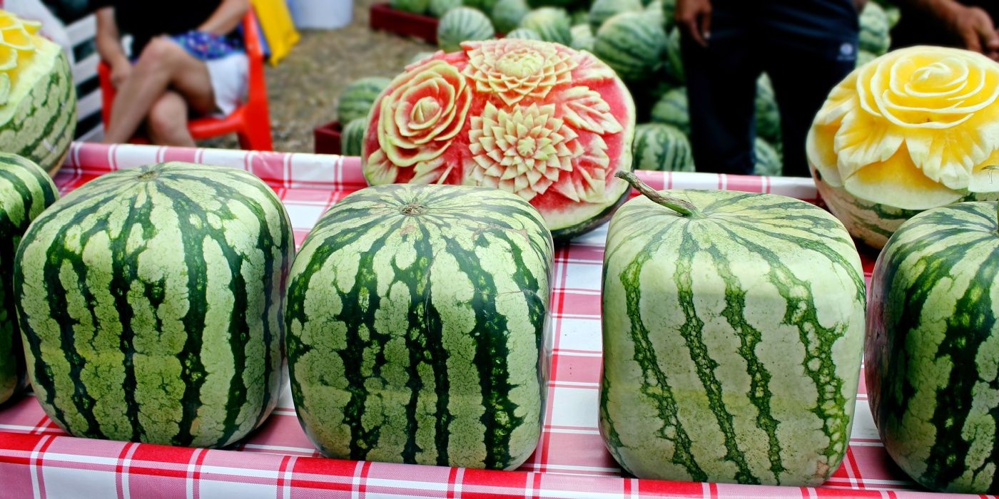 Grow Luxury Produce at Home: 7 High-End Options to Cut Grocery Costs