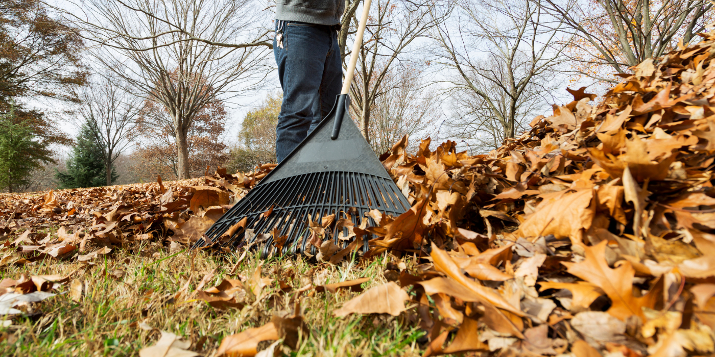 Raking Spring Clean Up Spring Lawn Care Mistakes to Avoid When Raking