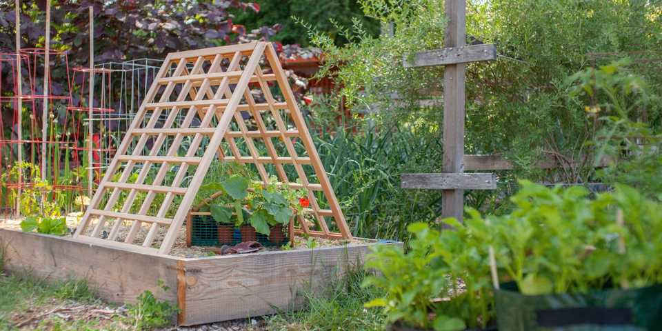 5 Useful Garden Structures You Can Easily Build