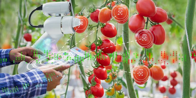 How AI is Transforming Gardening Activities