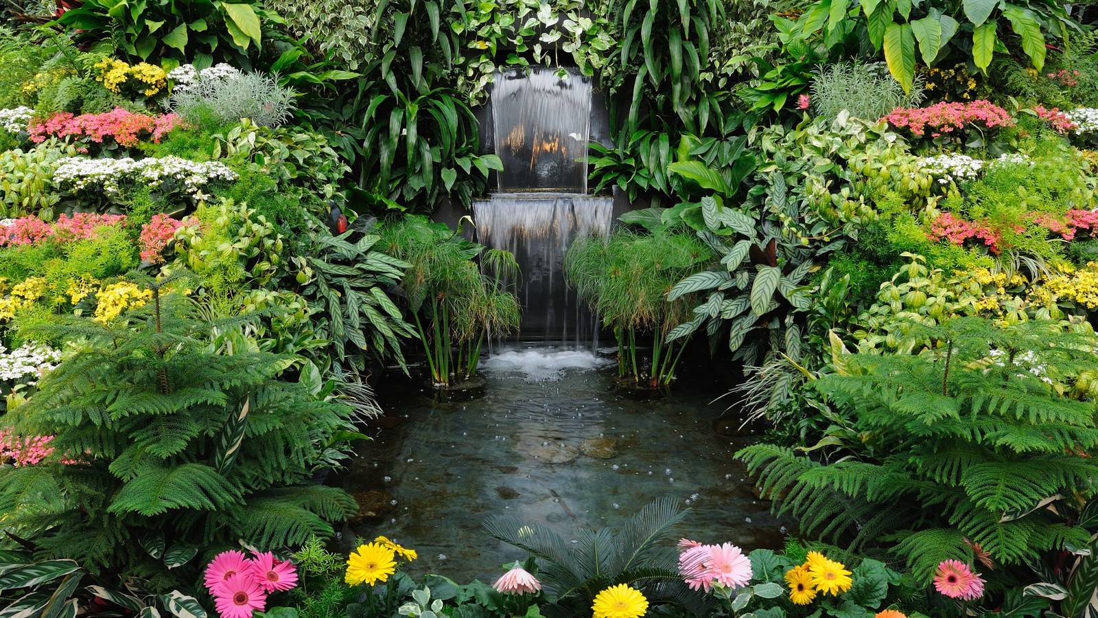 Aesthetic Ways to Feature Exotic Plants in Your Backyard Oasis